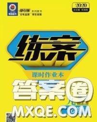 2020新版练案课时作业本九年级化学下册沪教版答案