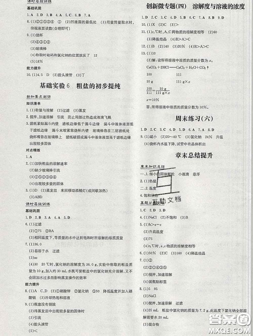 2020新版练案课时作业本九年级化学下册沪教版答案