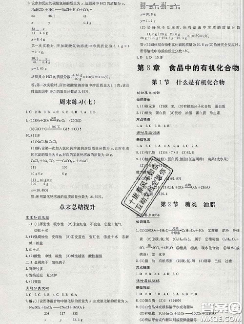 2020新版练案课时作业本九年级化学下册沪教版答案