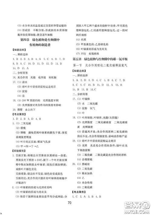 山东教育出版社2020初中基础训练六年级生物学下册54学制版答案