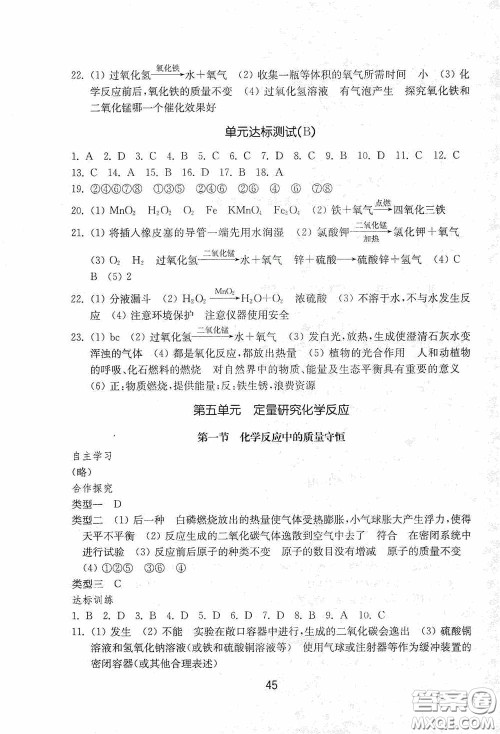 山东教育出版社2020初中基础训练八年级化学下册54学制版答案