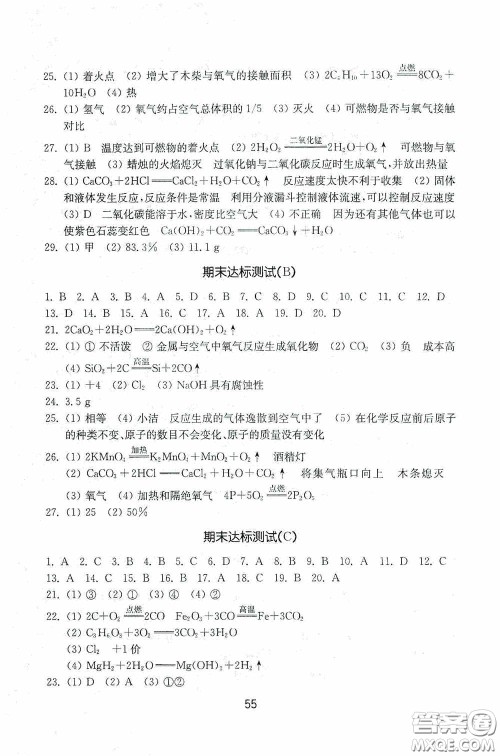山东教育出版社2020初中基础训练八年级化学下册54学制版答案