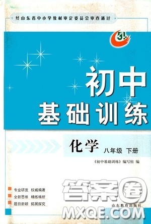 山东教育出版社2020初中基础训练八年级化学下册54学制版答案