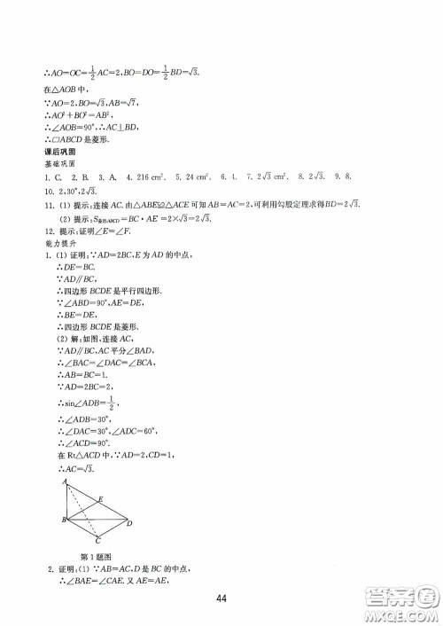 山东教育出版社2020初中基础训练八年级数学下册54学制答案