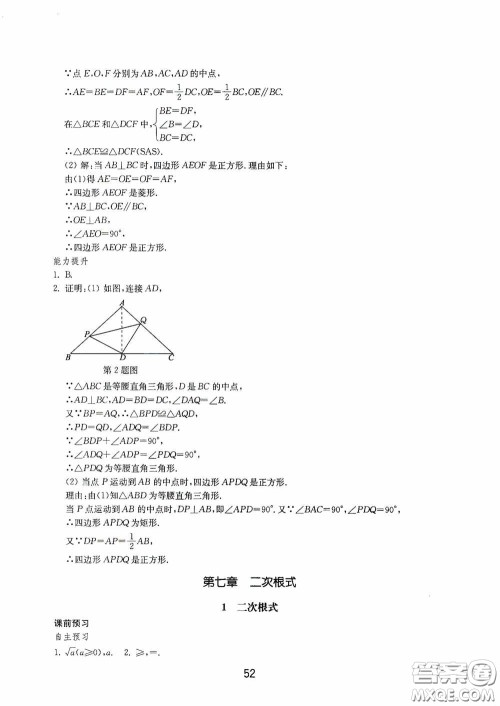 山东教育出版社2020初中基础训练八年级数学下册54学制答案