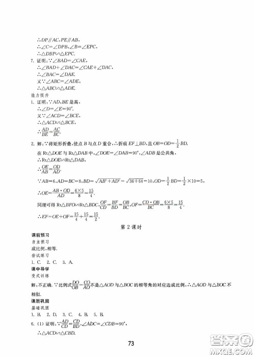 山东教育出版社2020初中基础训练八年级数学下册54学制答案