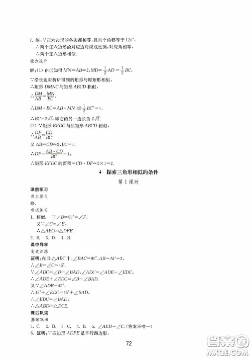山东教育出版社2020初中基础训练八年级数学下册54学制答案 山东教育出版社2020初中基础训练八年级数学下册54学制答案