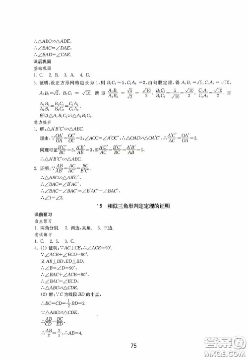 山东教育出版社2020初中基础训练八年级数学下册54学制答案