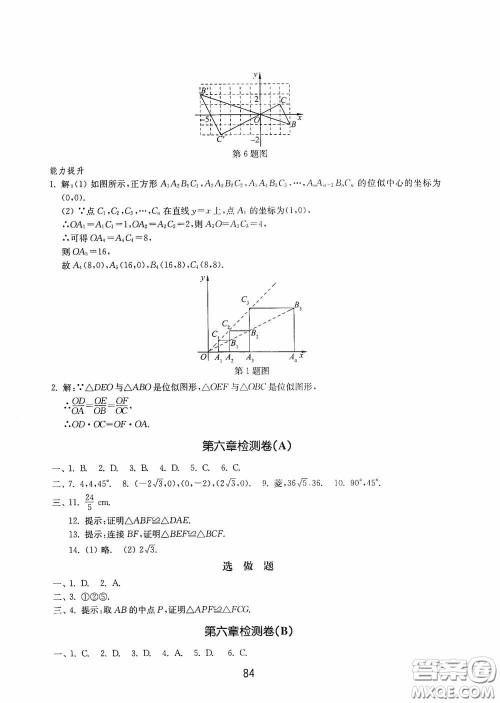 山东教育出版社2020初中基础训练八年级数学下册54学制答案