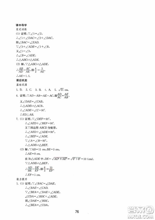 山东教育出版社2020初中基础训练八年级数学下册54学制答案