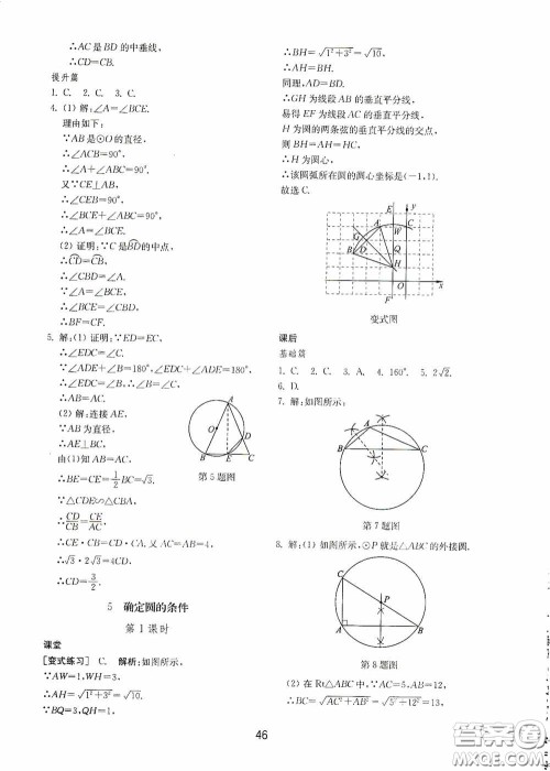 山东教育出版社2020初中基础训练九年级数学下册54学制答案