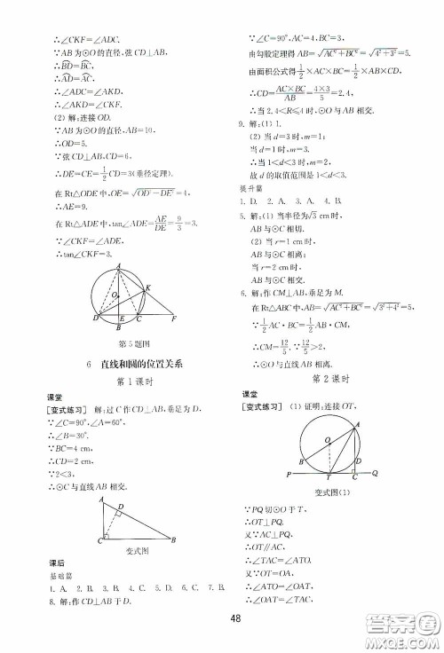 山东教育出版社2020初中基础训练九年级数学下册54学制答案
