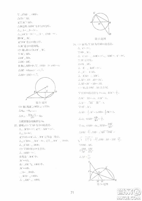 山东教育出版社2020初中基础训练九年级数学下册54学制答案