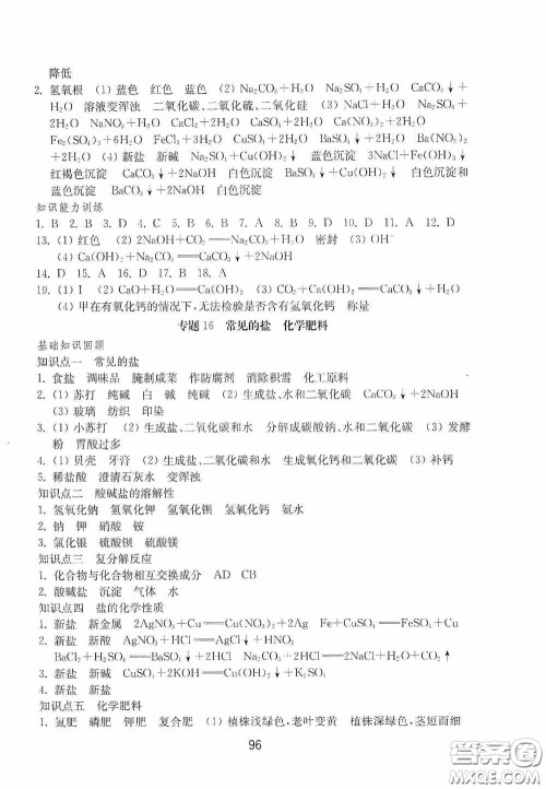 山东教育出版社2020初中基础训练九年级化学下册54学制答案