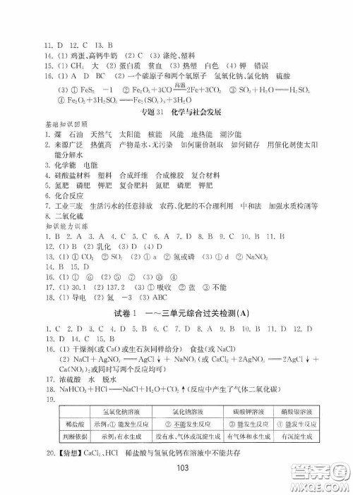 山东教育出版社2020初中基础训练九年级化学下册54学制答案