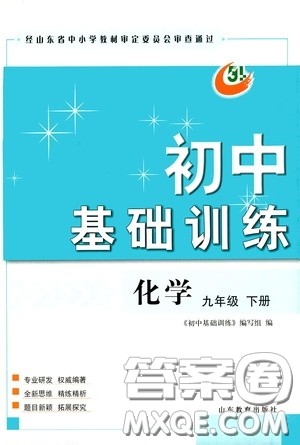 山东教育出版社2020初中基础训练九年级化学下册54学制答案