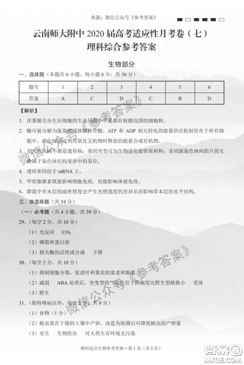 云南师大附中2020届高考适应性月考卷七理科综合答案