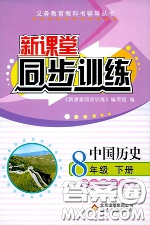 北京教育出版社2020新课堂同步训练八年级数学下册人民教育版答案