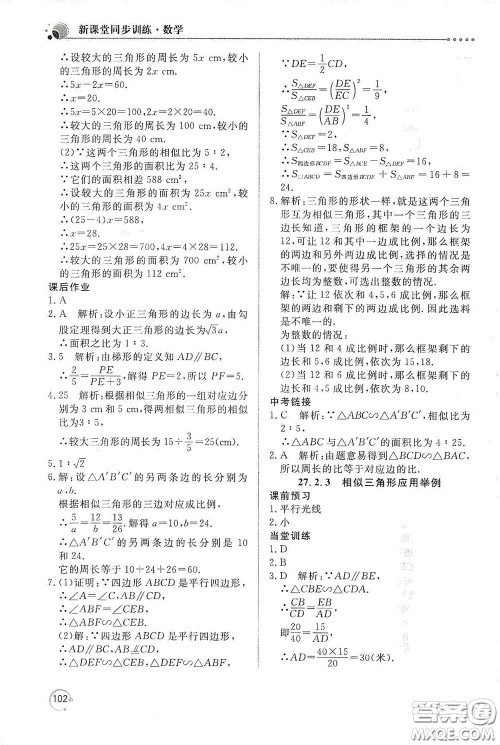 北京教育出版社2020新课堂同步训练九年级数学下册人民教育版答案