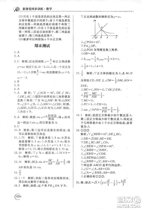 北京教育出版社2020新课堂同步训练九年级数学下册人民教育版答案