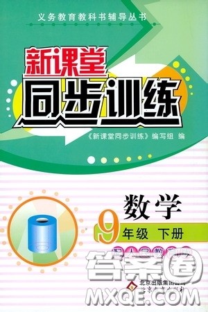 北京教育出版社2020新课堂同步训练九年级数学下册人民教育版答案