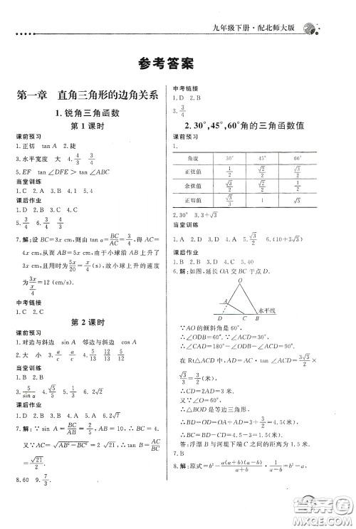 北京教育出版社2020新课堂同步训练九年级数学下册北师大版答案