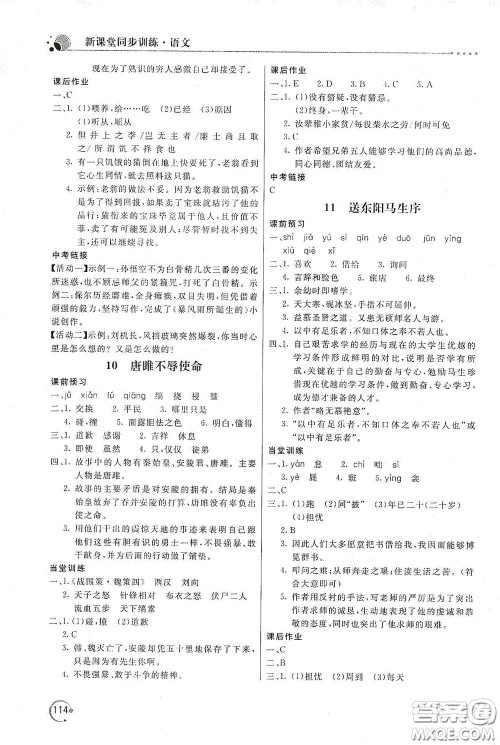 北京教育出版社2020新课堂同步训练九年级语文下册人民教育版答案