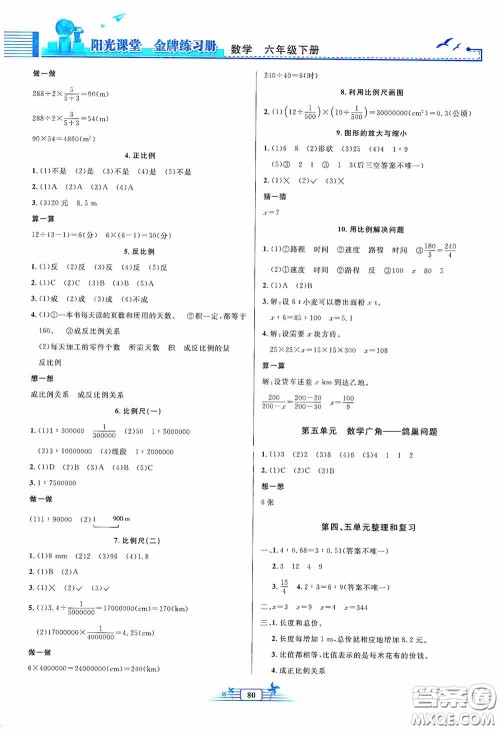 人民教育出版社2020阳光课堂金牌练习册六年级数学下册答案