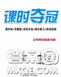 安徽师范大学出版社2020新版课时夺冠八年级物理下册人教版答案