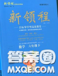 延边大学出版社2020新版新领程丛书新领程六年级数学下册苏教版参考答案