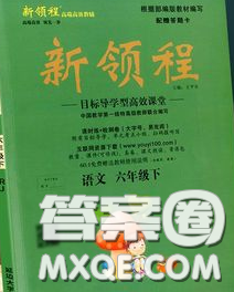 延边大学出版社2020新版新领程丛书新领程六年级语文下册人教版参考答案