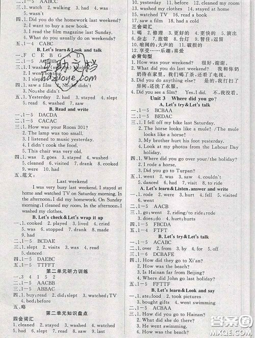 延边大学出版社2020新版新领程丛书新领程六年级英语下册人教版参考答案 延边大学出版社2020新版新领程丛书新领程六年级英语下册人教版参考答案