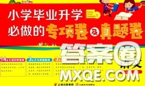 小学毕业升学必做的专项卷及真题卷语文答案