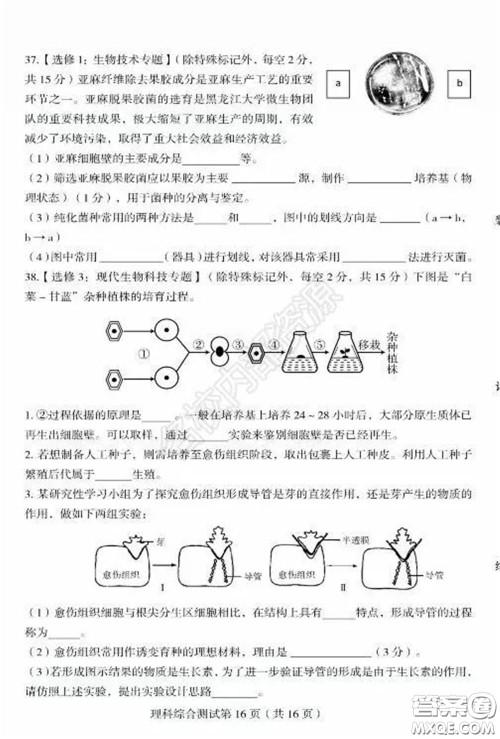 2020年东北三省四市一模理科综合试卷及答案