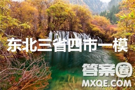 2020年东北三省四市一模理科综合试卷及答案 2020年东北三省四市一模理科综合试卷及答案