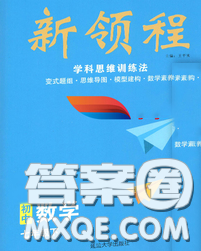 延边大学出版社2020新版新领程丛书新领程七年级数学下册人教版参考答案