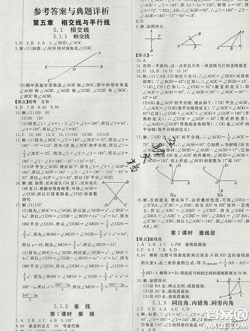 延边大学出版社2020新版新领程丛书新领程七年级数学下册人教版参考答案