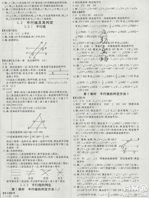 延边大学出版社2020新版新领程丛书新领程七年级数学下册人教版参考答案