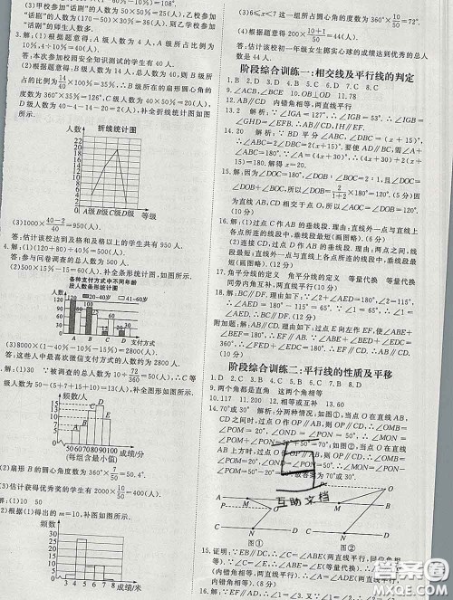 延边大学出版社2020新版新领程丛书新领程七年级数学下册人教版参考答案