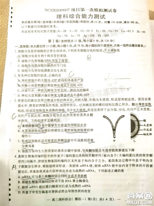 2020年南昌一模理科综合试题及答案 2020年南昌一模理科综合试题及答案