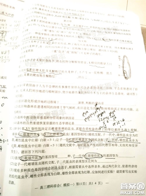 2020年南昌一模理科综合试题及答案 2020年南昌一模理科综合试题及答案