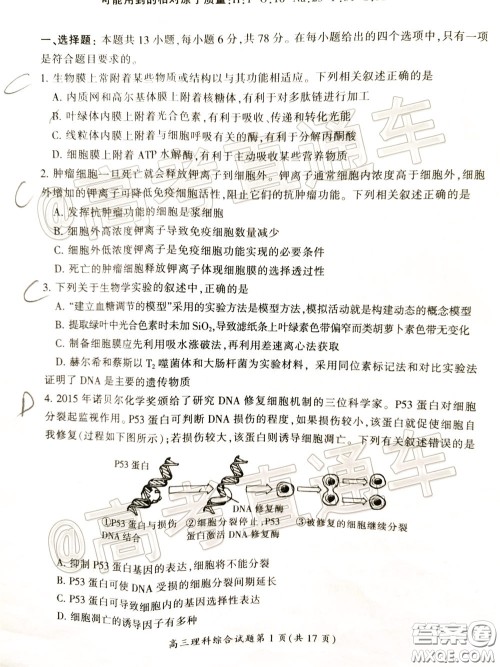 郴州市2020届高三第二次教学质量监测试卷理科综合试题及答案