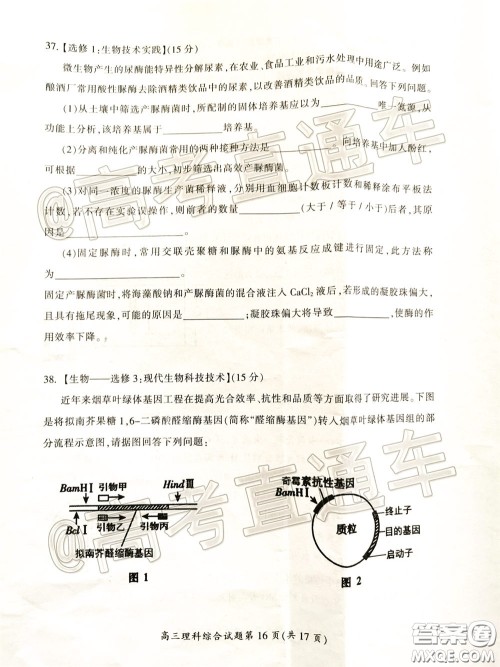 郴州市2020届高三第二次教学质量监测试卷理科综合试题及答案