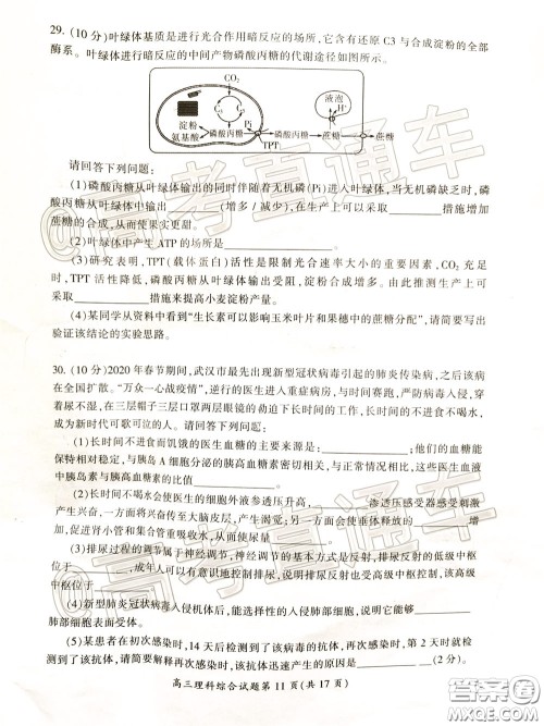 郴州市2020届高三第二次教学质量监测试卷理科综合试题及答案 郴州市2020届高三第二次教学质量监测试卷理科综合试题及答案