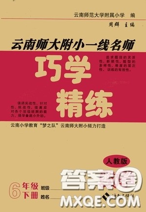 海南出版社2020云南师大附小一线名师巧学精练六年级数学下册人教版答案