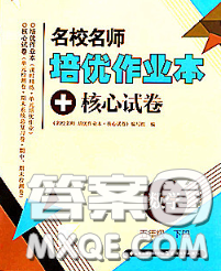 2020新版名校名师培优作业本加核心试卷五年级数学下册人教版答案