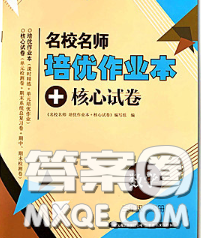 2020新版名校名师培优作业本加核心试卷三年级数学下册人教版答案