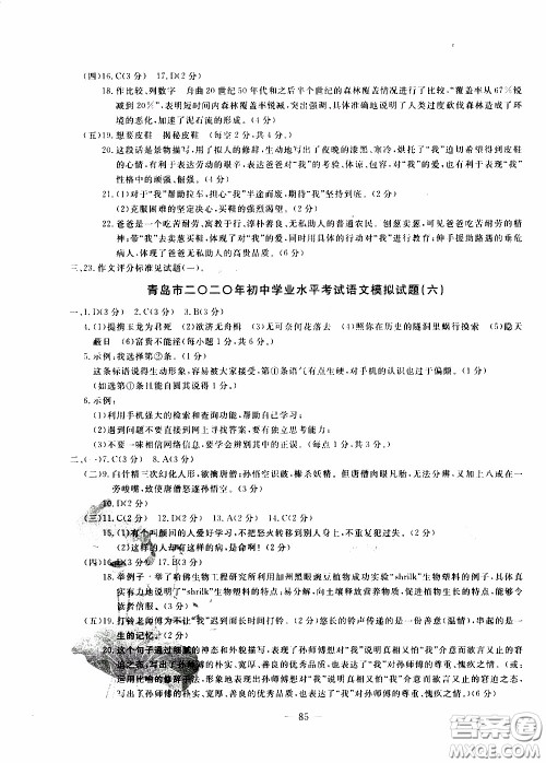 青岛出版社2020年中考冲刺模拟卷语文参考答案