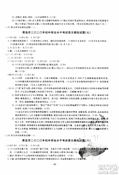 青岛出版社2020年中考冲刺模拟卷语文参考答案
