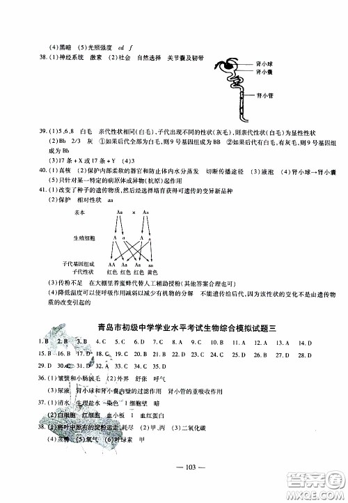 青岛出版社2020年中考冲刺模拟卷生物参考答案